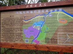 -汤旺河林海奇石景区