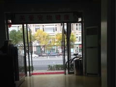 -瑞派天宁宠物医院·猫科·异宠中心
