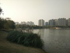 -南翔镇银翔湖公园