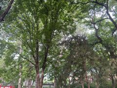-玲珑塔公园