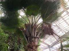 -呀路古热带植物园