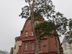 -中旅阿那亚九龙湖·公主酒店