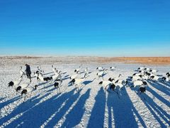 -黑龙江扎龙生态旅游区