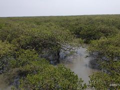 -北海金海湾红树林生态旅游区