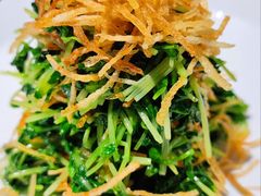 巧拌豆苗-四季民福烤鸭店(王府井灯市口店)