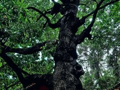 -昆明市金殿名胜区