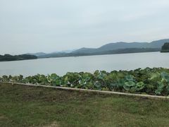 -池州市平天湖风景区