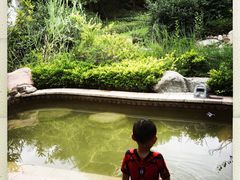 -郑州银基黄帝宫御温泉