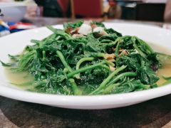 -食街•早茶•儿童套餐(长隆企鹅酒店)