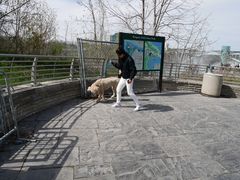 -尼亚加拉瀑布州立公园