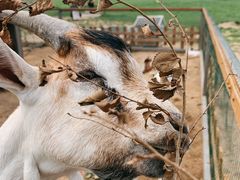 -潭柘厚院&山顶烤肉(潭柘寺店)