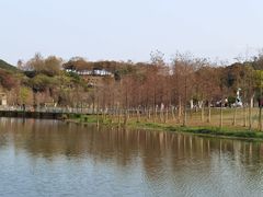 -东莞植物园