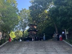 -上海佘山国家森林公园西佘山园