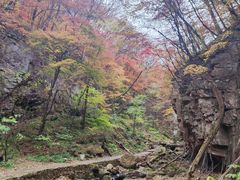 -五女峰国家森林公园