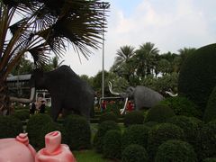 -是拉差龙虎园(Permanently closed)