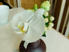 -茹·pure vegan(博华广场店)