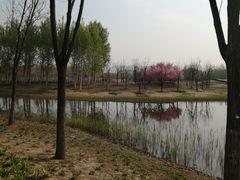 -东郊湿地公园