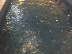 -水晶之星洗浴温泉汗蒸