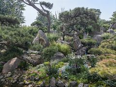 -罗红摄影艺术馆