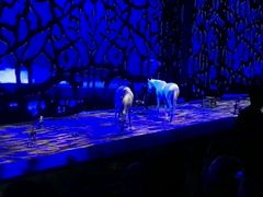 -cavalia·舞马