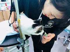 -宠伴小精灵宠物店(鼓楼店)