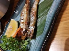 -锦鲤堂日本料理(莱茵之星店)