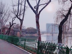 -金银湖国家城市湿地公园