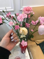 -绘甲社NACHO&DAI SALON