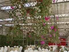 -名花谷生态庄园