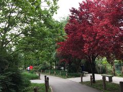 -贵阳市花溪国家城市湿地公园