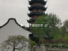 -红梅公园