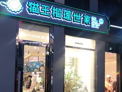 门面-猫王榴莲世家(三里屯SOHO商场店)