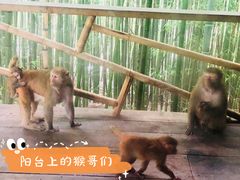 -重庆雨台山风景区