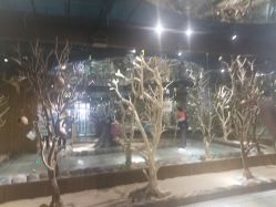 -哈尼鹿儿童乐园(兰州东瓯店)