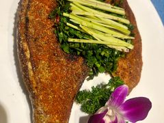 -香巴拉云南餐厅(华莱坞店)