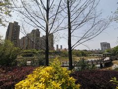 -金山公园
