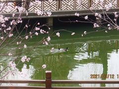 -迎泽公园