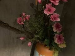 -新盈光·旗舰店(海曙苍松路店)