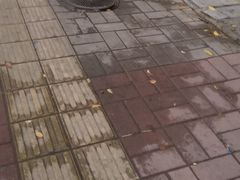 -鲍师傅糕点(大沽南路店)