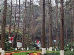 -忠山公园