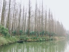 -上海怡沁园度假酒店