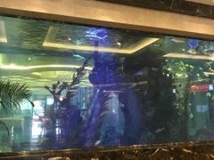 -碧桂园凤凰城酒店(南京店)