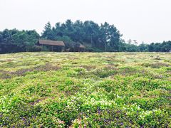 -保利石象湖景区