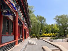 -万柳阁小馆·花园餐厅(龙潭湖店)