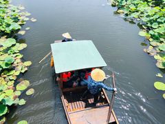 -荷塘月色湿地公园·向阳花洲