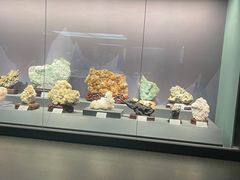 -湖南省地质博物馆