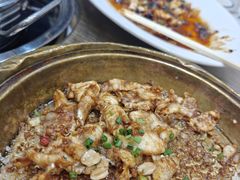 -港升鱼师傅·中山脆肉鲩