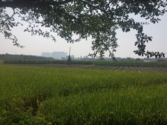 -小塘渔村(开平大道店)