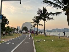 -野狸岛
