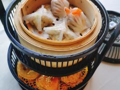 羊城雀笼-悦湖公馆